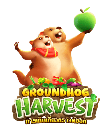 groundhog harvest